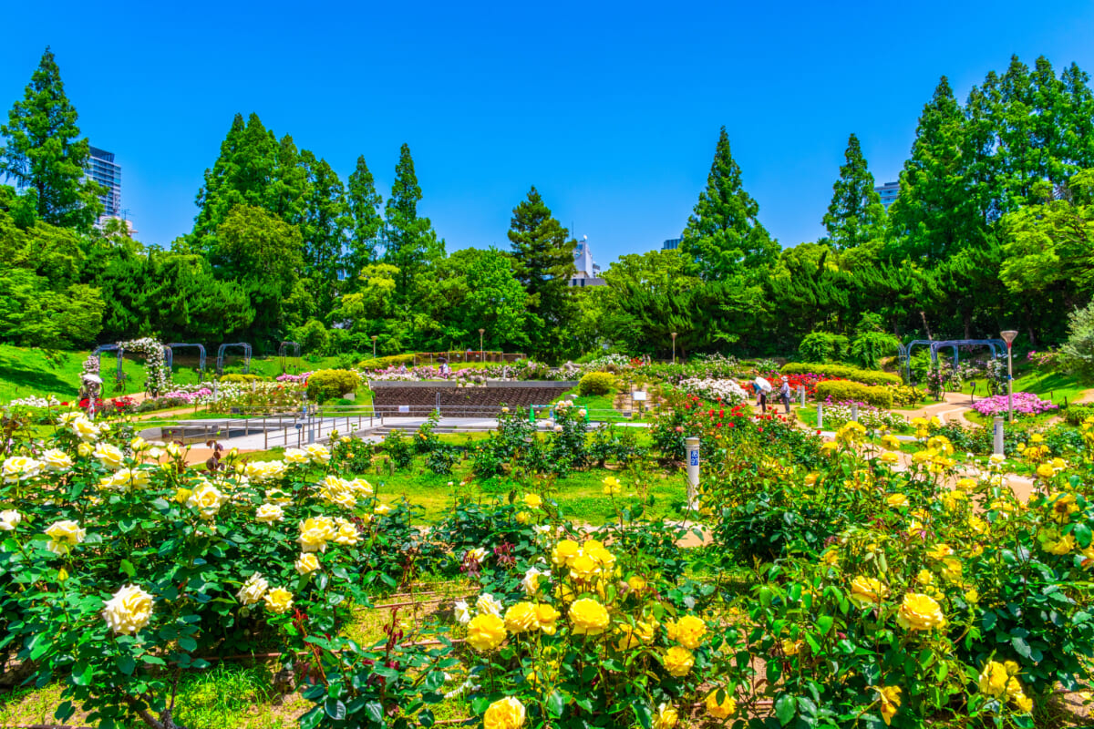 靱公園